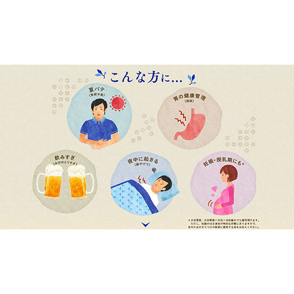 太田胃散 210g 胃腸薬 飲みすぎ・胸やけ・胃部不快感・胃もたれ・食べすぎ【第2類医薬品】 - Image 7