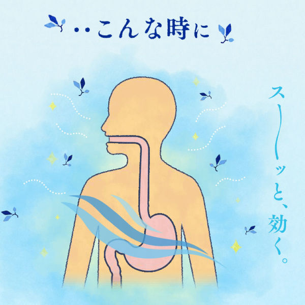 太田胃散 210g 胃腸薬 飲みすぎ・胸やけ・胃部不快感・胃もたれ・食べすぎ【第2類医薬品】 - Image 9